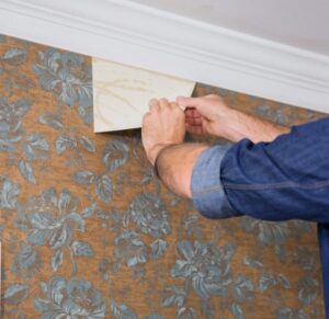 Wallpaper Removal Contractor